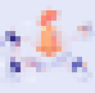 开云体育官网