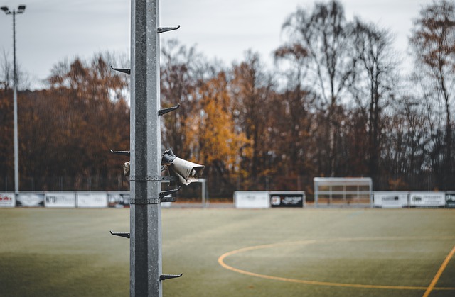 将可能带来 将可能带来