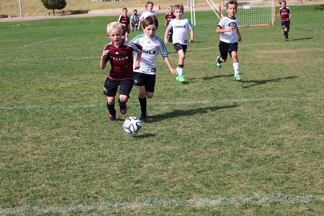 利斯特的信 利斯特的信