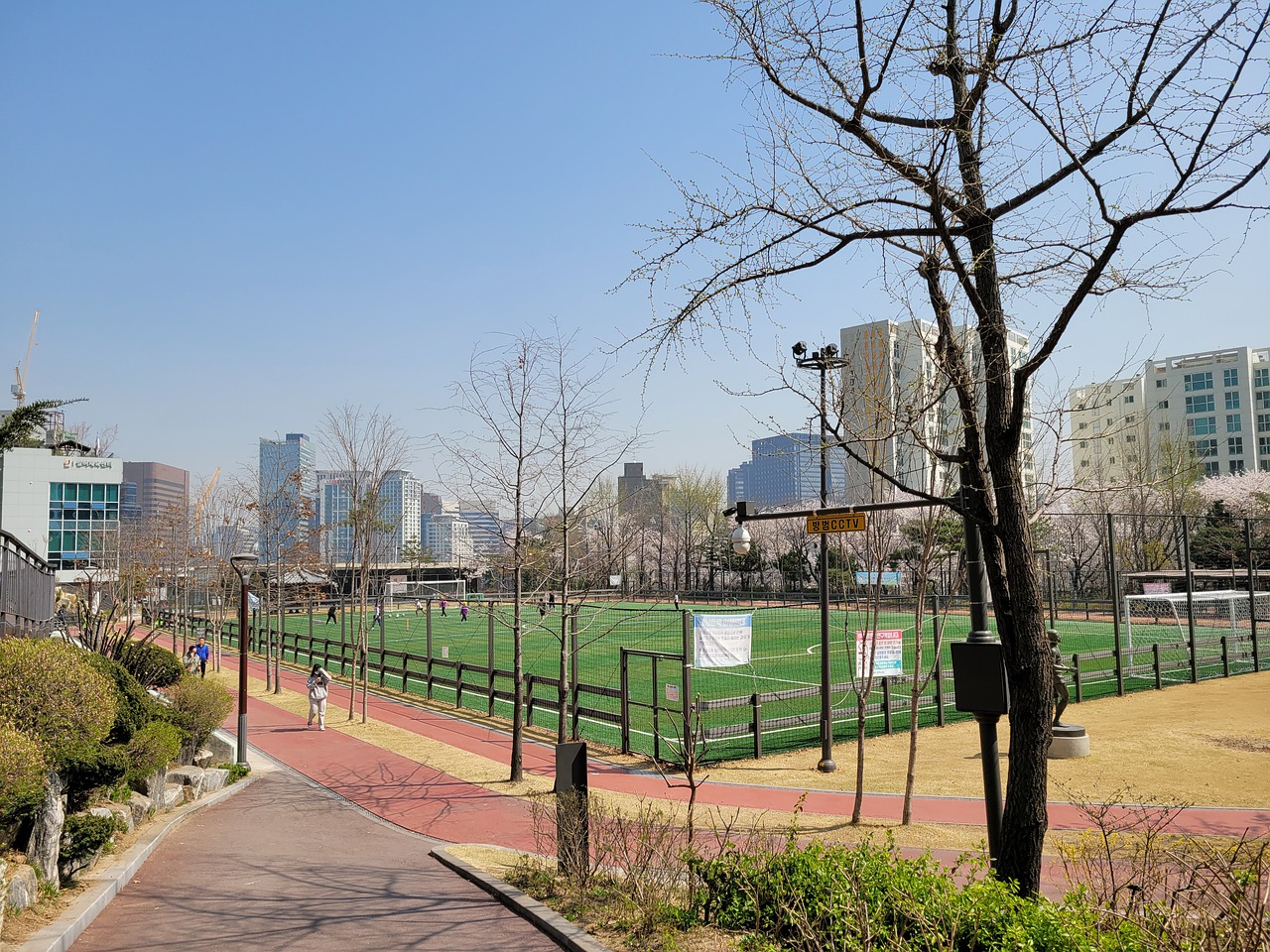 生涯的新高 生涯的新高