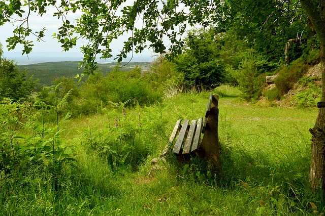 展現出一種 展現出一種