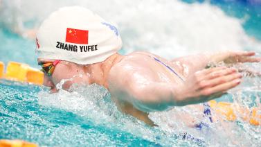 领域的新风 领域的新风