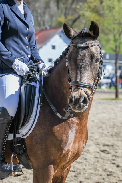 关键词的影 关键词的影