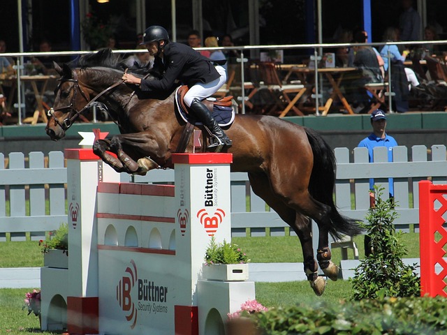 湖人队在本 湖人队在本