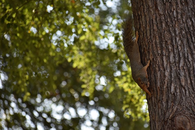 性和顽强的 性和顽强的